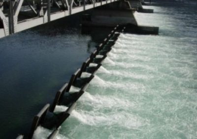 Diga miorina consorzio ticino